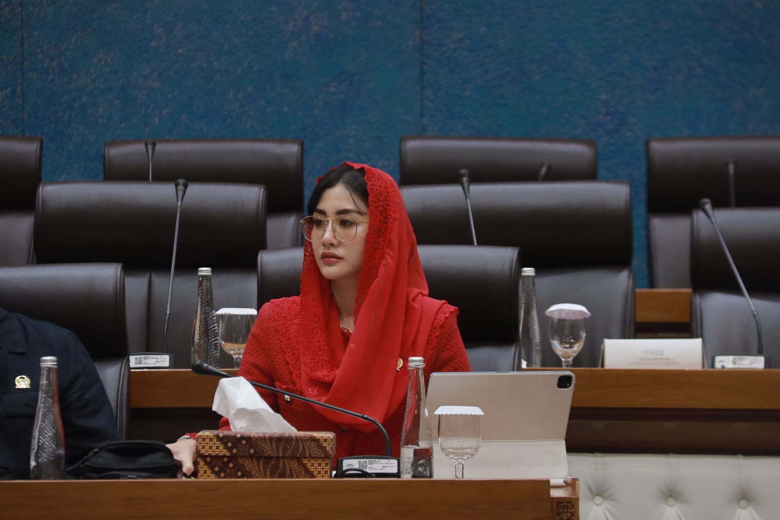 Novita Hardini Desak Kementerian Ekraf Siapkan Agenda Lebih Besar untuk Lindungi Industri Kreatif